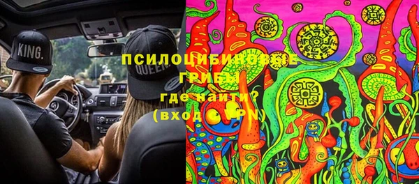 spice Вяземский