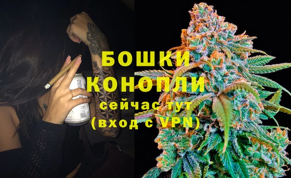spice Вязьма